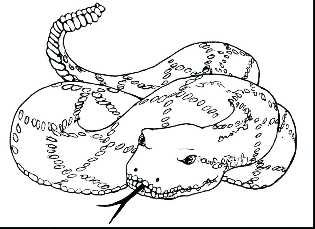 Anaconda Coloring Page Green Anaconda Coloring Pages Printable 1024x744 Anaconda Coloring Page Green Anaconda Coloring Pages Printable