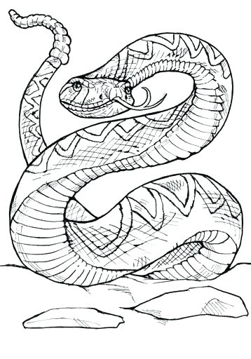 Rattlesnake Coloring Pages Rattlesnake Coloring Pages Western 358x512 Rattlesnake Coloring Pages Rattlesnake Coloring Pages Western