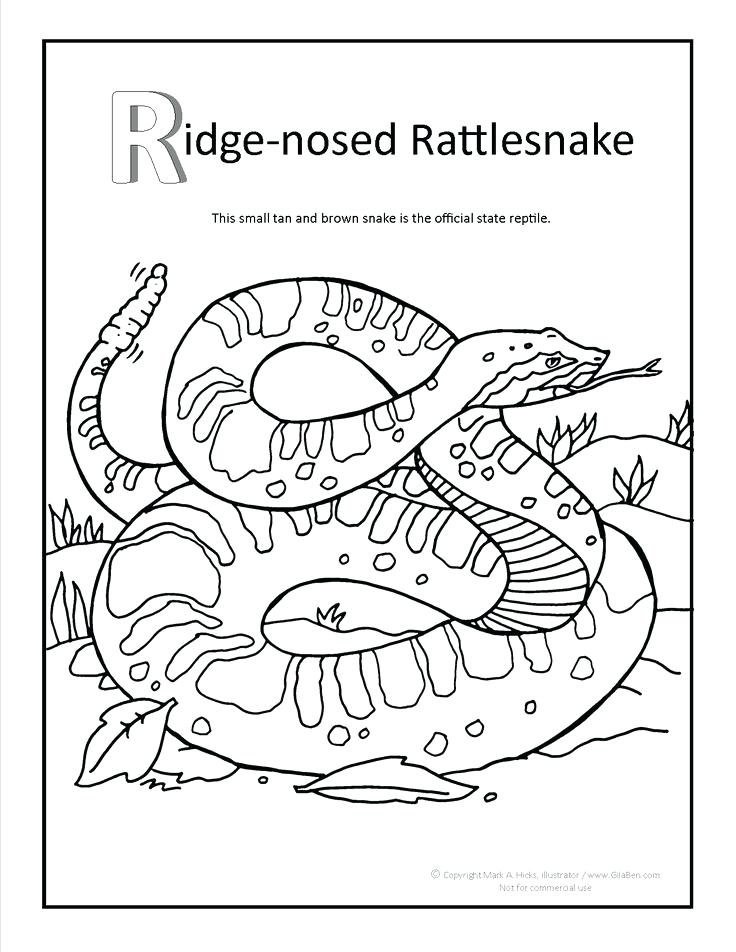 Rattlesnake Coloring Pages Ridge Nosed Rattlesnake Coloring Page 736x952 Rattlesnake Coloring Pages Ridge Nosed Rattlesnake Coloring Page