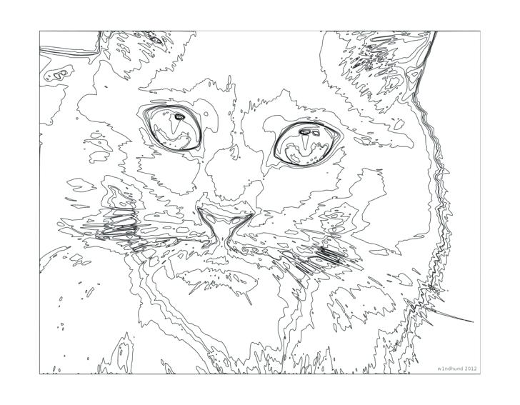 Adult Color By Number Pages Also Cat Coloring Pages For Teenagers 728x567 Adult Color By Number Pages Also Cat Coloring Pages For Teenagers