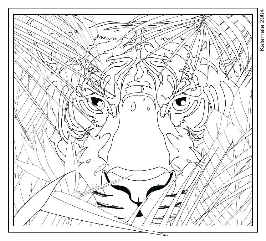 Difficult Halloween Coloring Pages Difficult Coloring Pages Free 850x770 Difficult Halloween Coloring Pages Difficult Coloring Pages Free