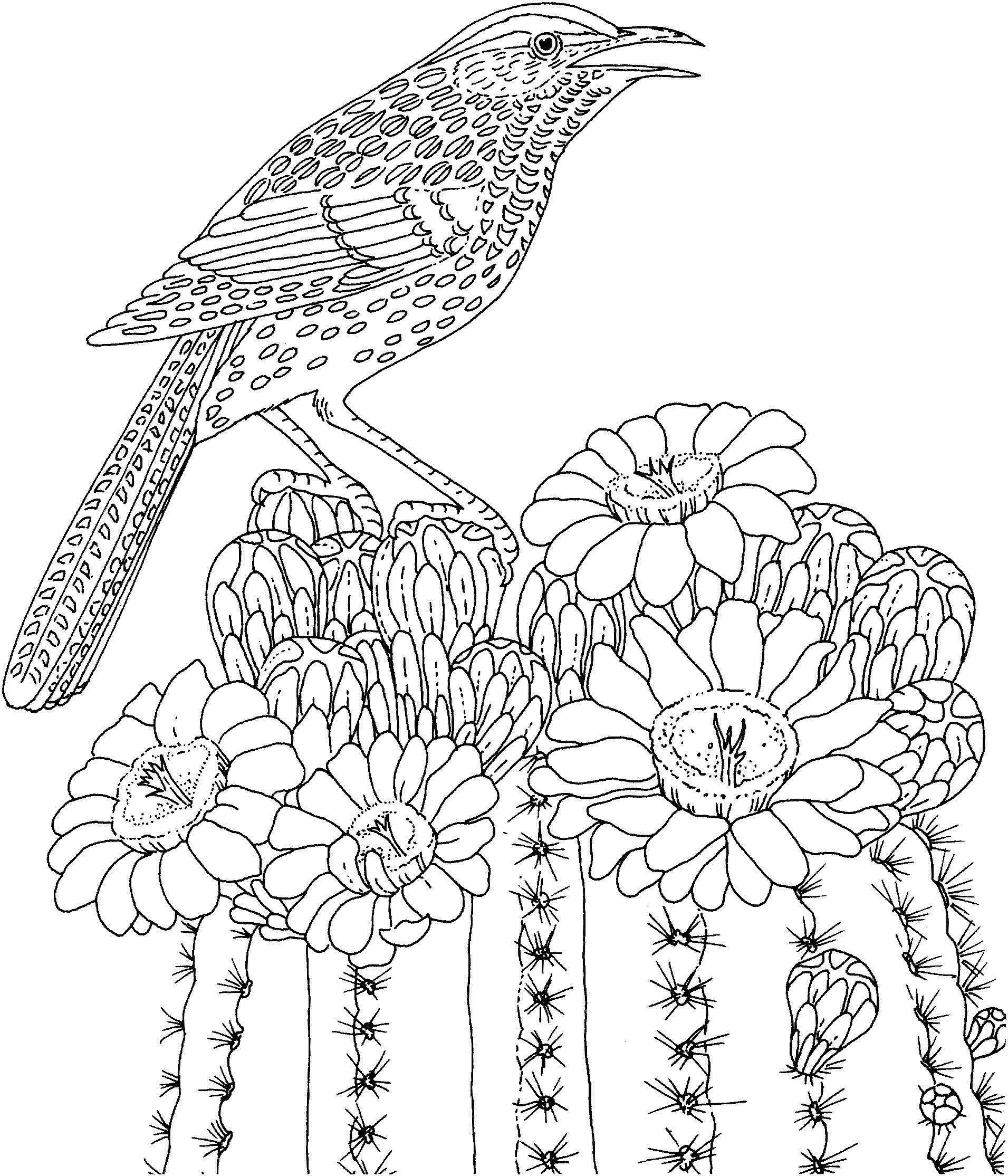 Difficult Coloring Pages Of Animals