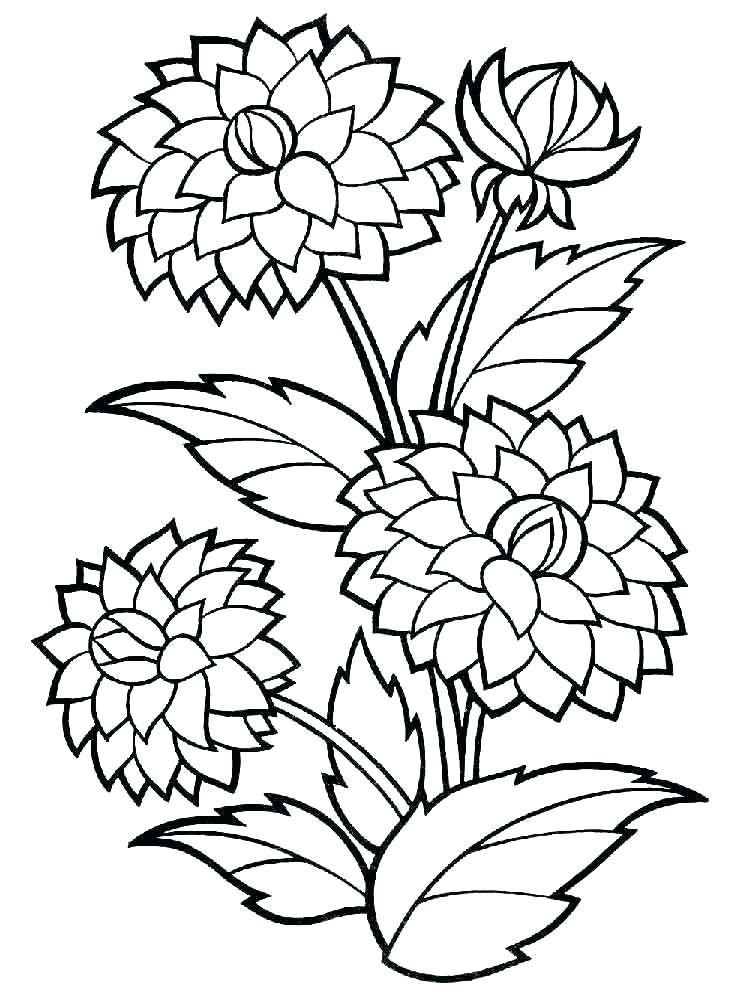 Coloring Pages Flowers Printable Flowering Coloring Pages Flower 750x1000 Coloring Pages Flowers Printable Flowering Coloring Pages Flower