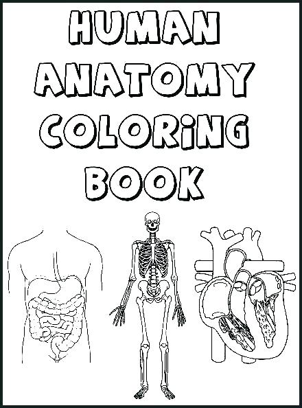 Digestive System Coloring Digestive System Coloring Sheet 440x594 Digestive System Coloring Digestive System Coloring Sheet