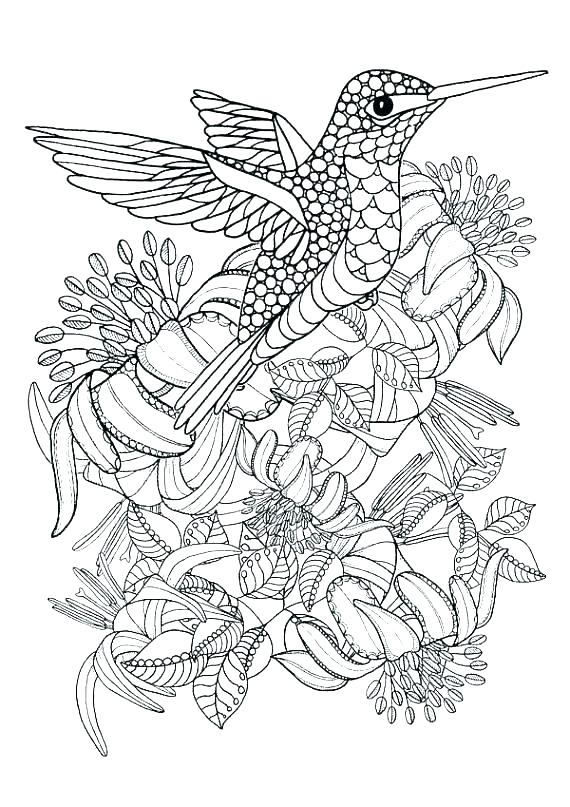 Digital Coloring Pages Downloadable Coloring Pages Fresh 570x807 Digital Coloring Pages Downloadable Coloring Pages Fresh