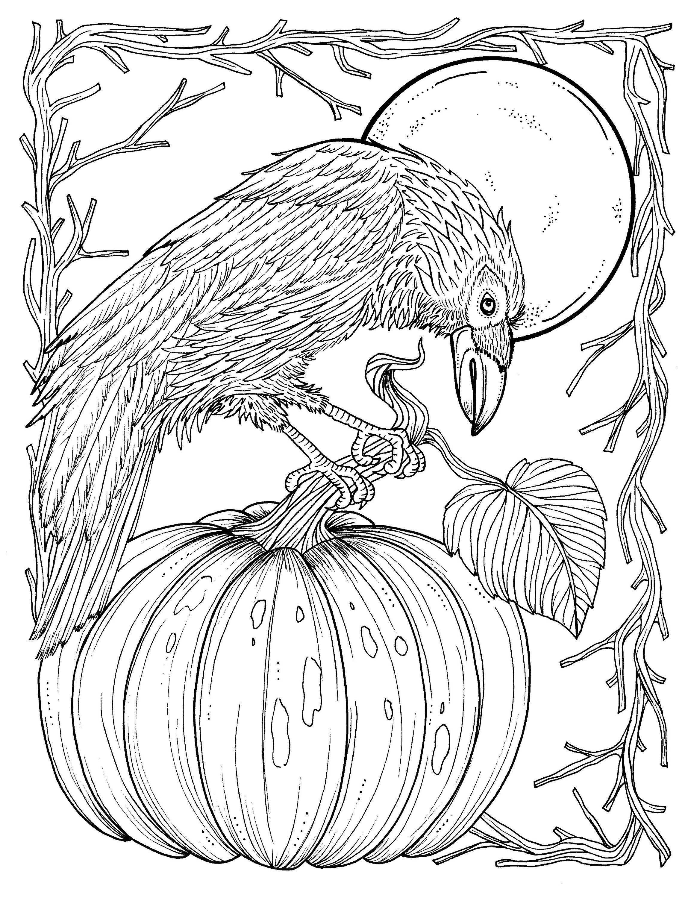 Fall Crow Digital Coloring Page Thanksgiving Harvest Adult 2318x3000 Fall Crow Digital Coloring Page Thanksgiving Harvest Adult