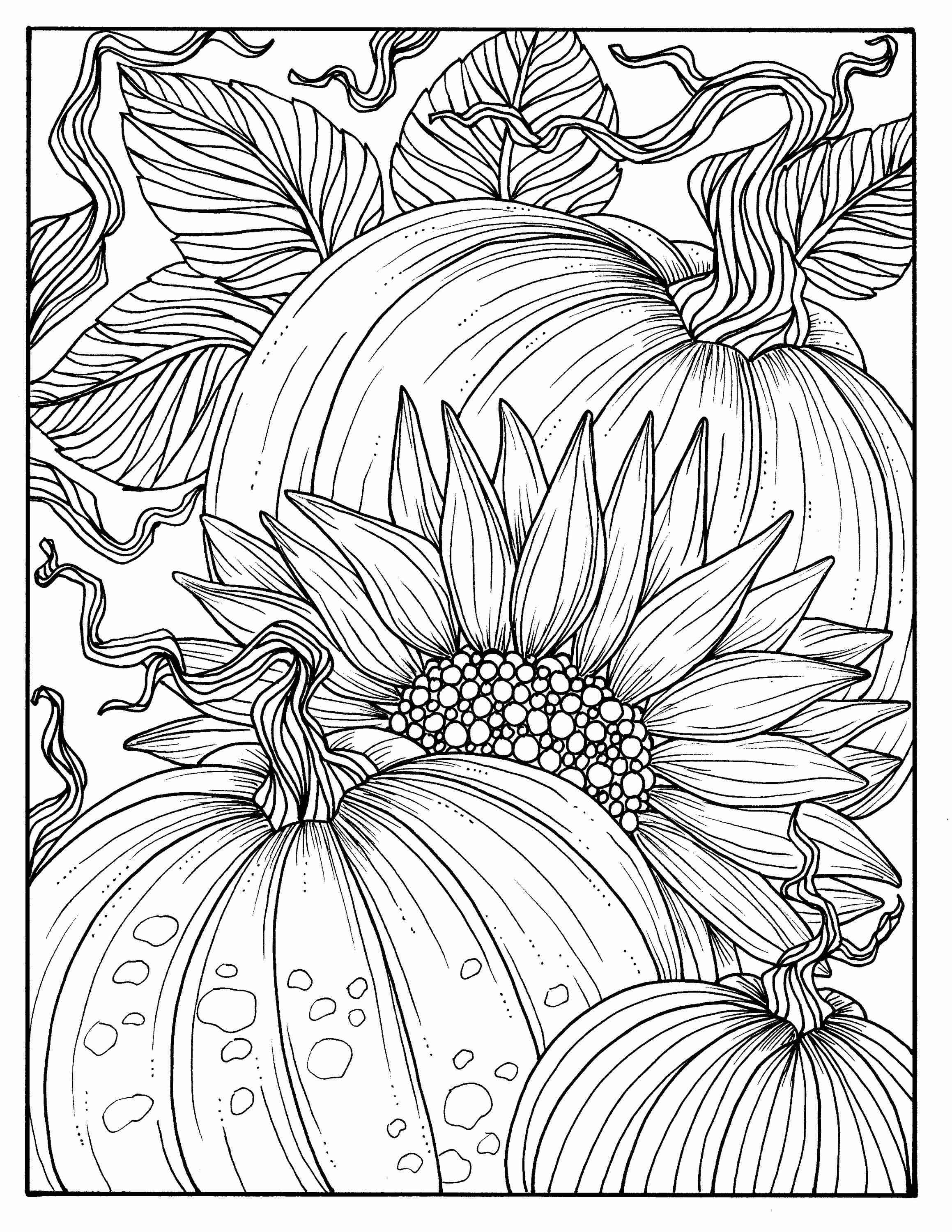 2318x3000 Pumpkins And Sunflower Digital Coloring Page Fall Adult Adorable