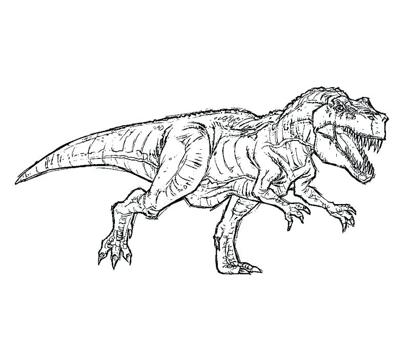 800x667 Dilophosaurus Coloring Page Free T Coloring Pages Park T Coloring