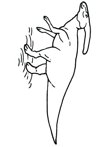 360x480 Dilophosaurus Coloring Page Click To See Printable Version