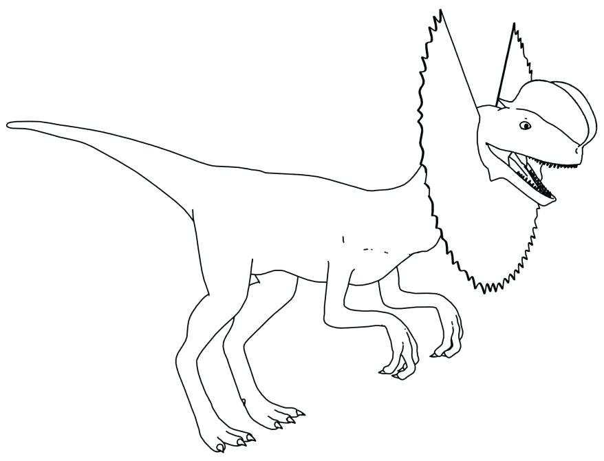 878x670 Dilophosaurus Coloring Page Coloring Dinosaur Coloring Page