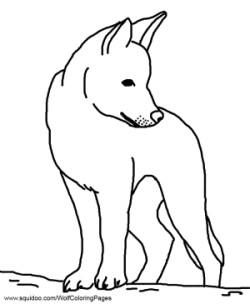 Dingo Coloring Page