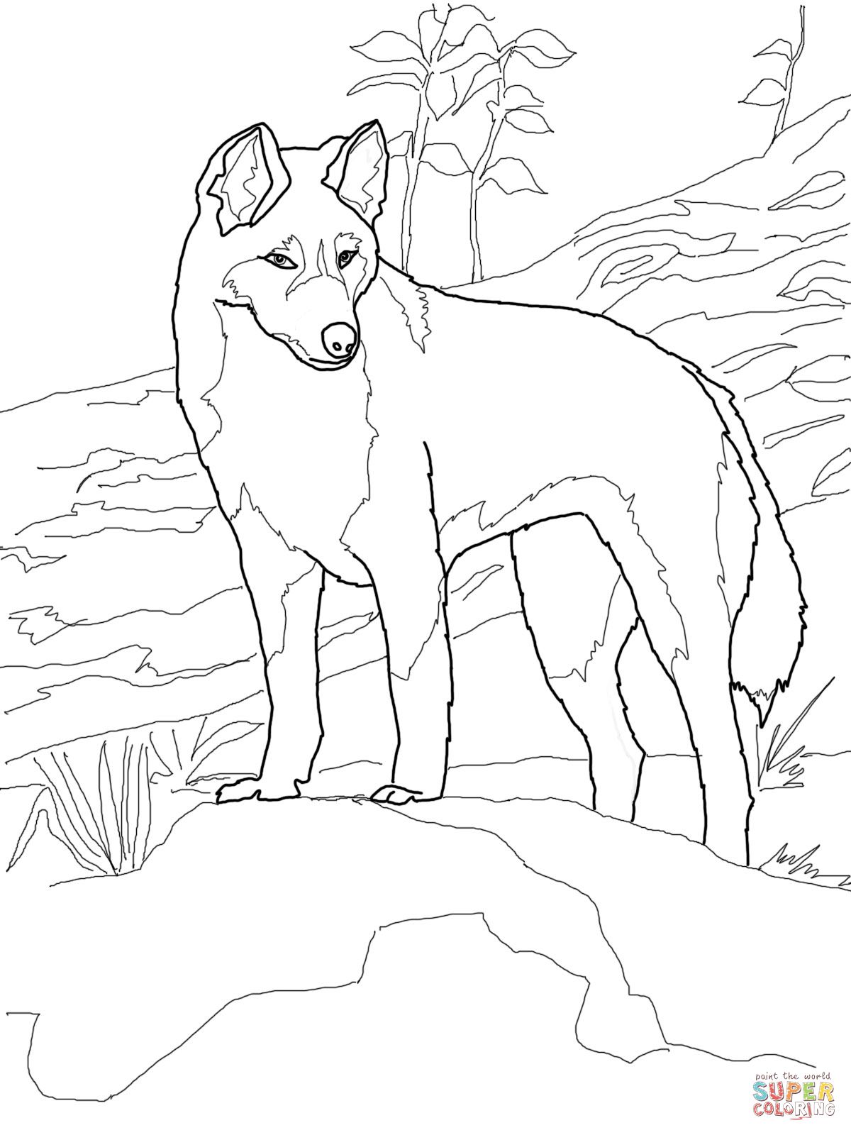 1200x1600 Dingo From Australia Coloring Page Animal