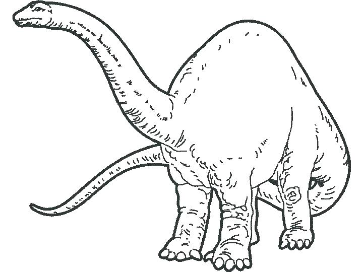 720x540 Free Coloring Pages Dinosaurs Also Free Online Coloring Pages