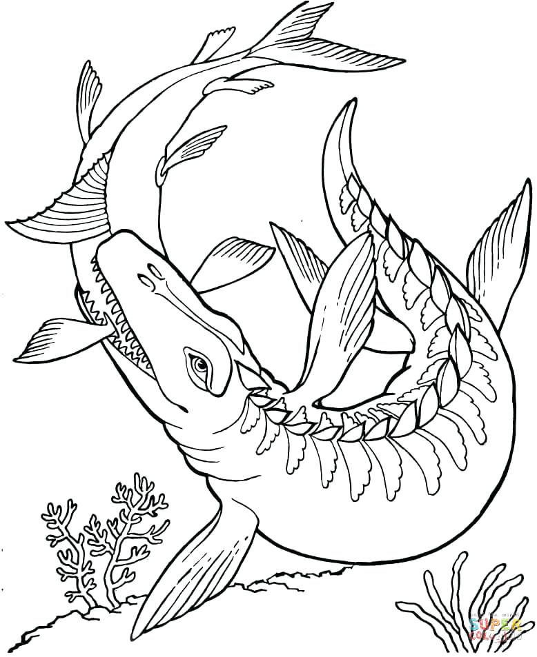778x953 Free Dinosaur Coloring Pages For Dinosaur 7 Coloring Page 82 Free