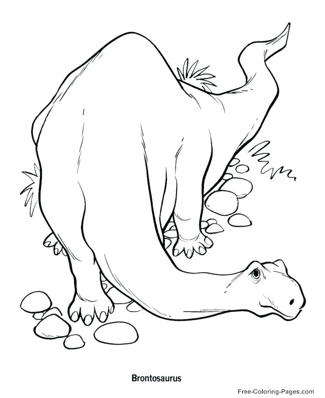 Dinosaur Fossil Coloring Pages Coloring Page Dinosaur Dinosaur 670x820 Dinosaur Fossil Coloring Pages Coloring Page Dinosaur Dinosaur