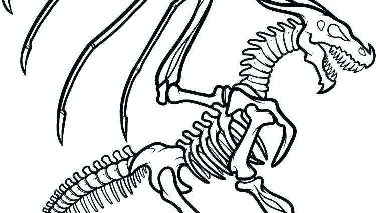 Dinosaur Fossil Coloring Pages Dinosaur Skeleton Coloring Pages 750x425 Dinosaur Fossil Coloring Pages Dinosaur Skeleton Coloring Pages