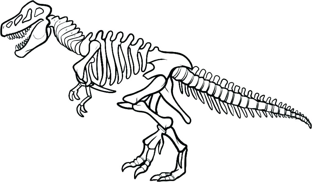 Skeleton Coloring Page Skeleton Coloring Page Skeleton Coloring 1024x598 Skeleton Coloring Page Skeleton Coloring Page Skeleton Coloring