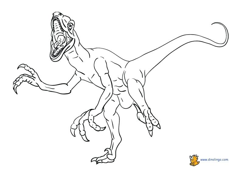 Free Dinosaur Coloring Pages Coloring Page Free Printable 792x576 Free Dinosaur Coloring Pages Coloring Page Free Printable