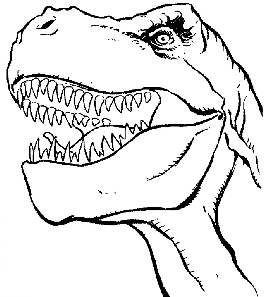 Trex Coloring Pages 900x1012 Trex Coloring Pages