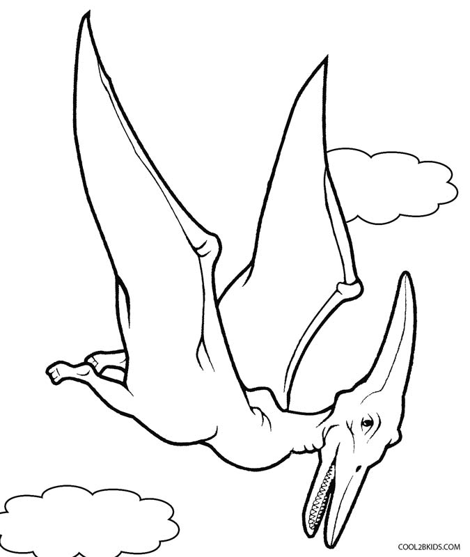 675x800 Dinosaur Coloring Pages