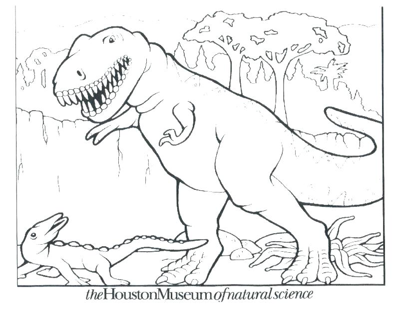 Preschool Dinosaur Coloring Pages Coloring Pages Back Torticle 805x622 Preschool Dinosaur Coloring Pages Coloring Pages Back Torticle