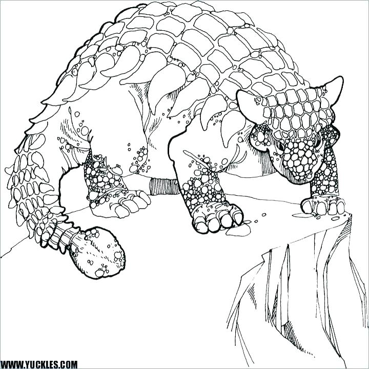 720x720 D Is For Dinosaur Coloring Sheet