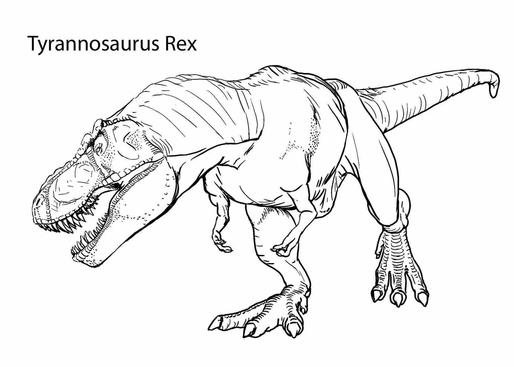 1642x1172 Dinosaur Pdf
