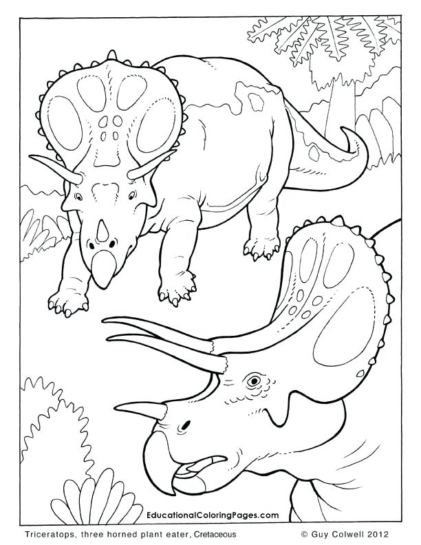 Free Coloring Pages Of Animals And Triceratops Coloring Pages 612x792 Free Coloring Pages Of Animals And Triceratops Coloring Pages