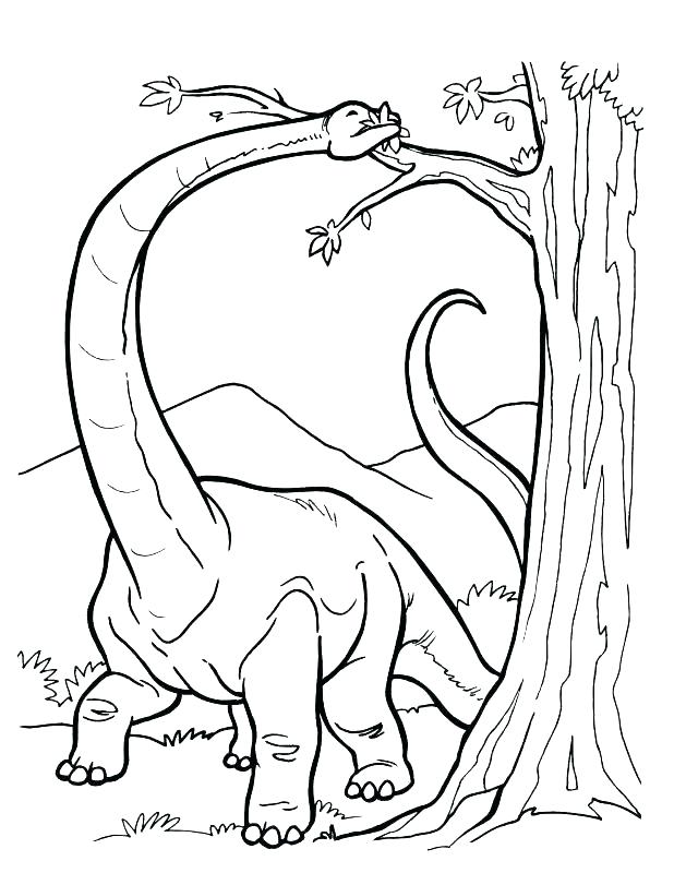 Preschool Dinosaur Coloring Pages Preschool Dinosaur Coloring 618x800 Preschool Dinosaur Coloring Pages Preschool Dinosaur Coloring