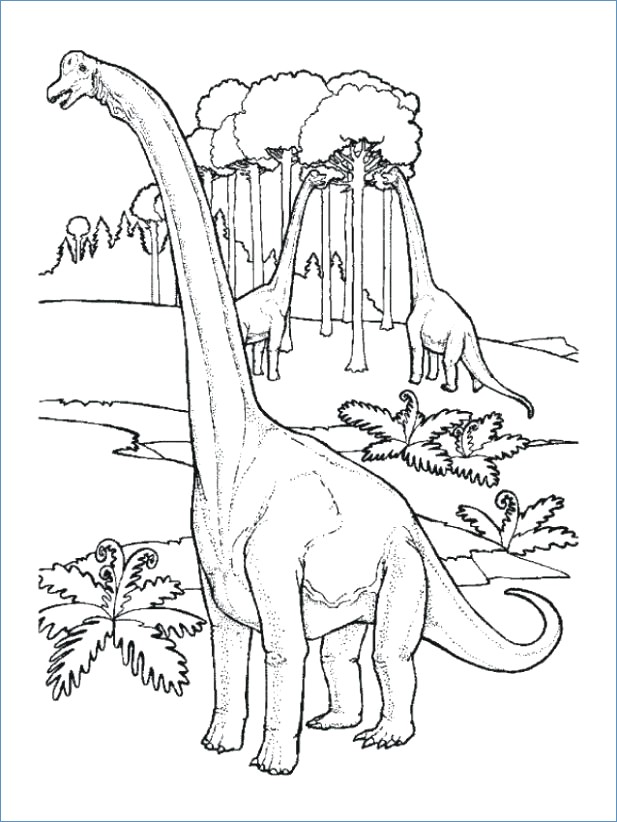 Brontosaurus Dinosaur Coloring Pages 617x822 Brontosaurus Dinosaur Coloring Pages