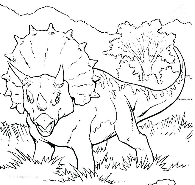 Dinosaur Coloring Page Dinosaur Coloring Pages Coloring Page Baby 655x624 Dinosaur Coloring Page Dinosaur Coloring Pages Coloring Page Baby