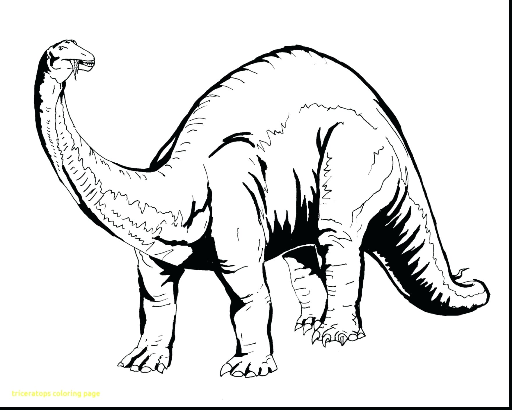 Dinosaur Coloring Pages Free Online Triceratops Page 1760x1409 Dinosaur Coloring Pages Free Online Triceratops Page