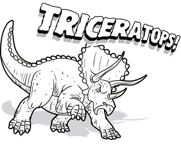 Dinosaur Coloring Pages Triceratops 600x477 Dinosaur Coloring Pages Triceratops