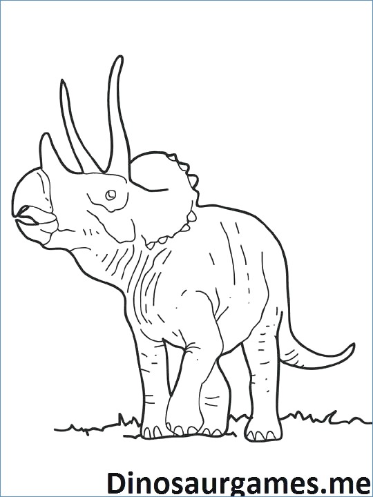 Triceratops Dinosaur Coloring Pages 540x720 Triceratops Dinosaur Coloring Pages