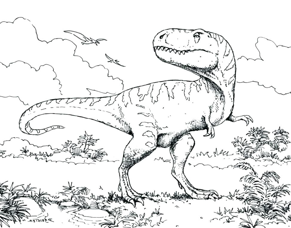 Triceratops Dinosaur Coloring Pages Cute Page Brontosaurus 974x762 Triceratops Dinosaur Coloring Pages Cute Page Brontosaurus