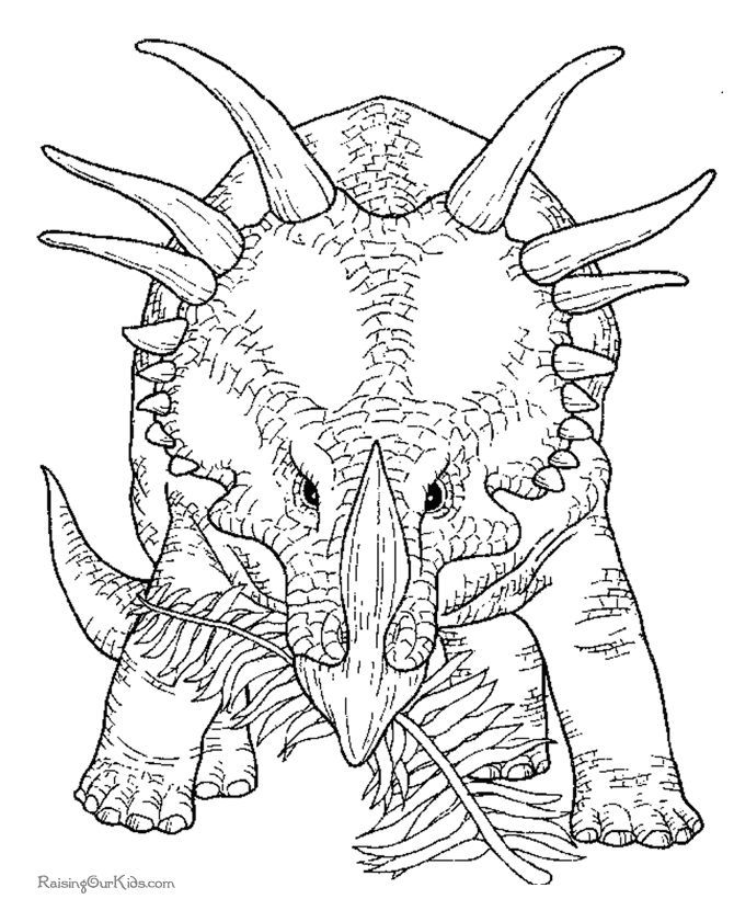 Coloring Pages Dinosaurs Triceratops Free Coloring Pages 670x820 Coloring Pages Dinosaurs Triceratops Free Coloring Pages