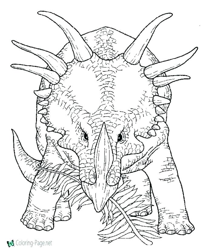 670x820 Dinosaur Bones Coloring Pages Dinosaur Bones Coloring Pages