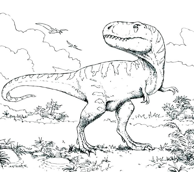 Dinosaur Coloring Pages With Names at GetColorings.com | Free printable ...