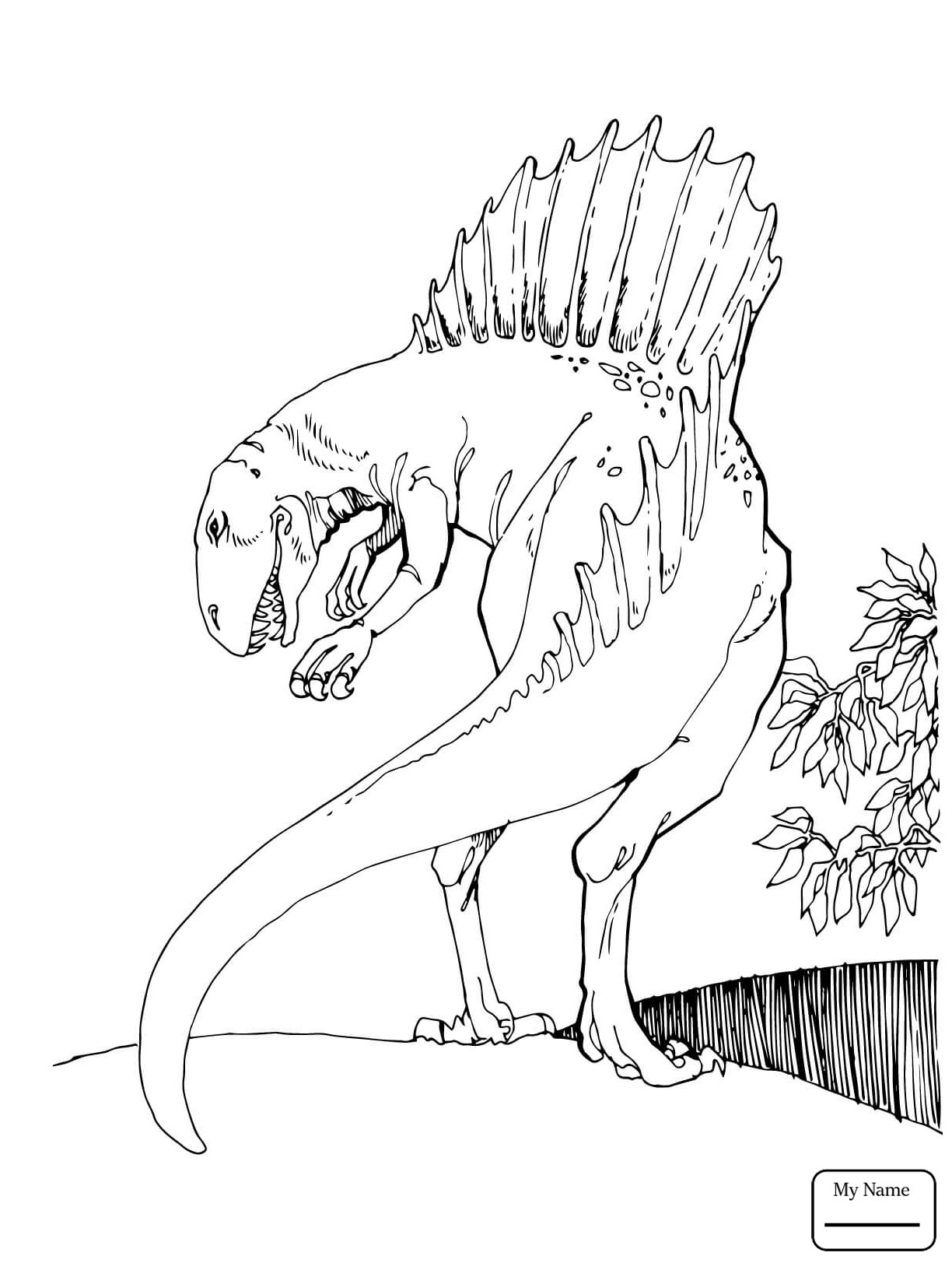 1224x1632 Timely Dinosaur Coloring Pages Spinosaurus Col