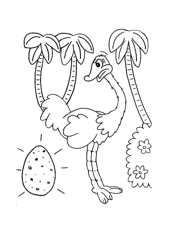 600x796 Egg Coloring Page Ostrich Egg Coloring Page Dinosaur Egg Coloring