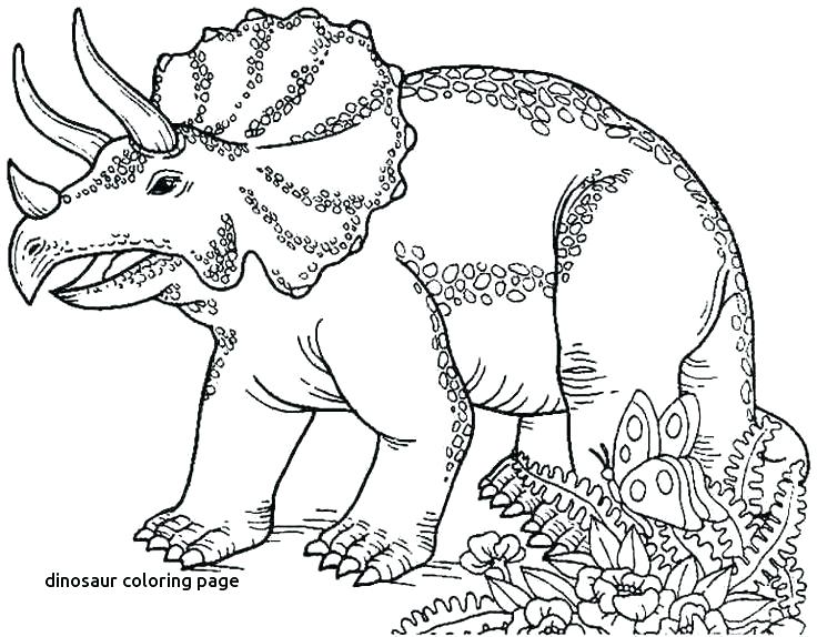 736x574 Coloring Page Dinosaur