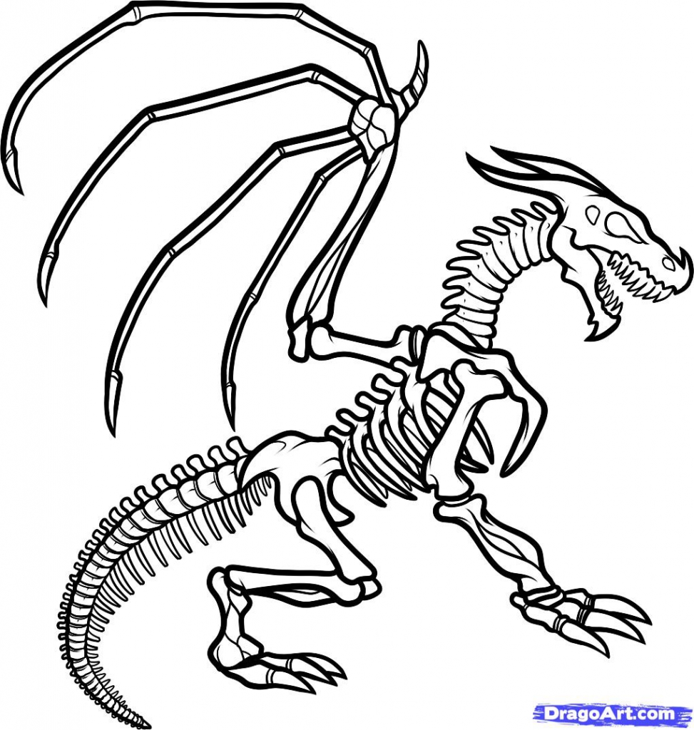 Approved Dinosaur Skeleton Coloring Page Clipa 973x1024 Approved Dinosaur Skeleton Coloring Page Clipa