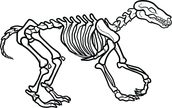 Dinosaur Fossil Coloring Pages at GetColorings.com | Free printable ...