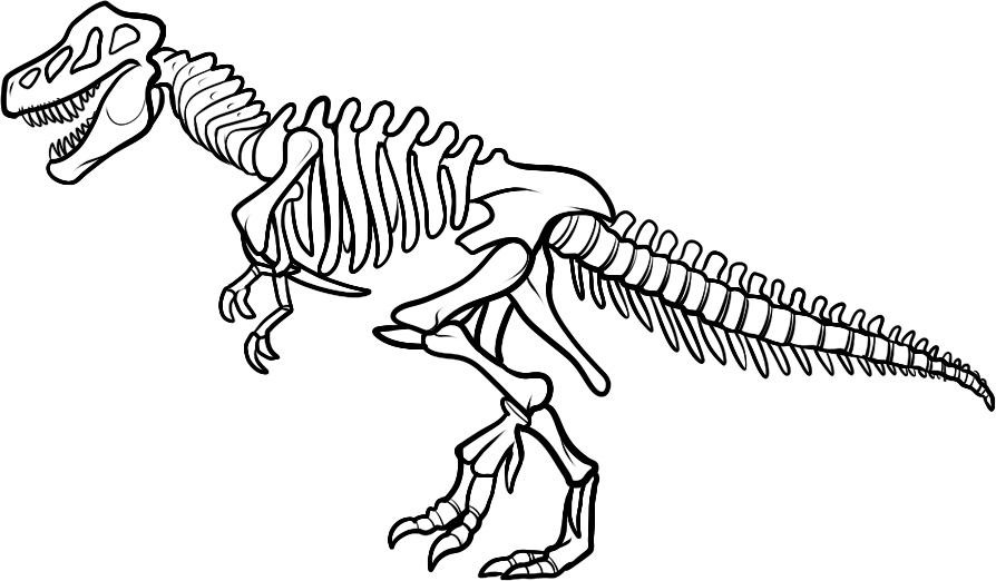 Dinosaur Fossil Coloring Pages 894x522 Dinosaur Fossil Coloring Pages