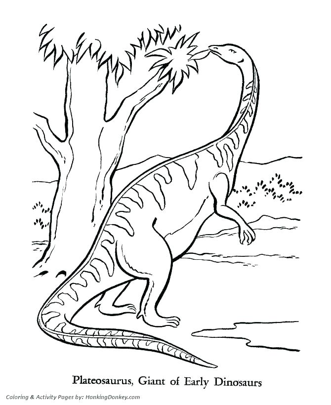 Dinosaur Outline Coloring Pages at GetColorings.com | Free printable ...