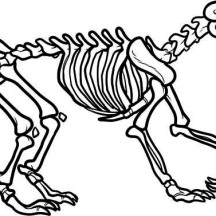 Dinosaur Skeleton Coloring Page Clipart Panda 216x216 Dinosaur Skeleton Coloring Page Clipart Panda