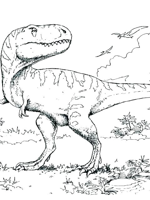 480x640 Dinosaur Coloring Pages To Print Free Printable Train Coloring