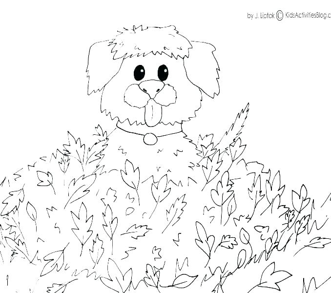 H Coloring Pages 678x600 H Coloring Pages
