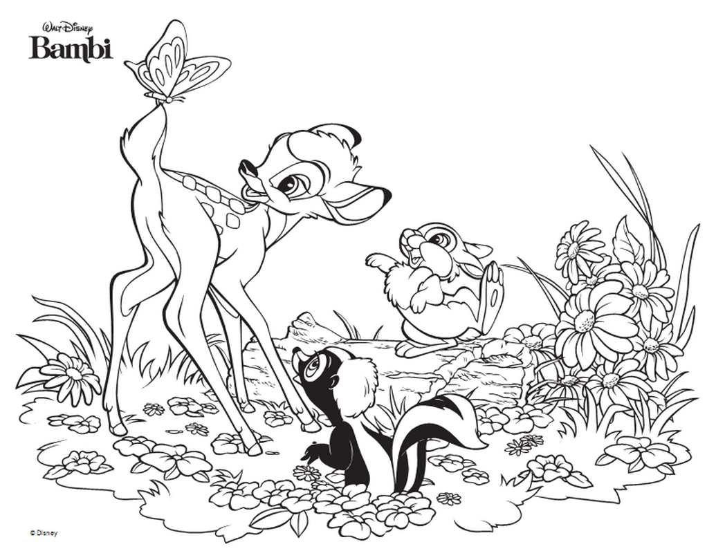 1048x810 Best Of Thumper Disney Bambi Coloring Page Bambi Coloring Pages