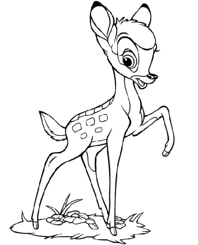 680x842 Lift One Foot Bambi